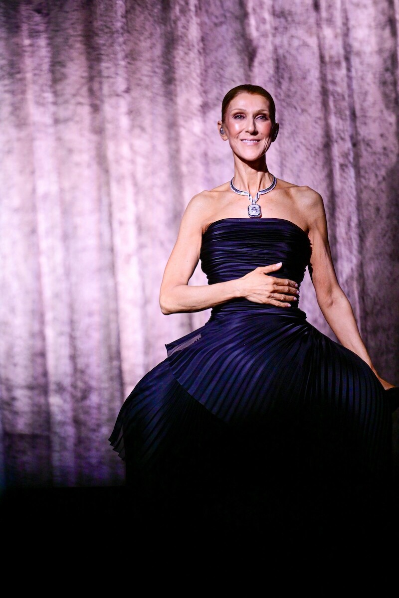 Céline Dion sourit sur scène en robe bustier plissée et collier de diamants