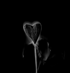 Arrache-coeur