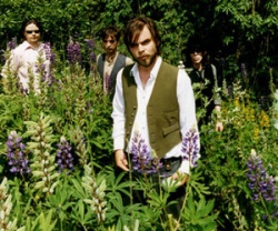 Supergrass dans les hautes herbes