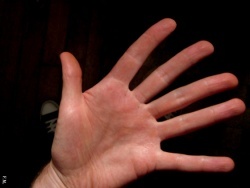 L'une des mains de F.M.