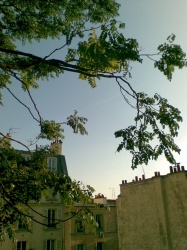 Lieu de création de 1=0