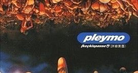 Critique Pleymo