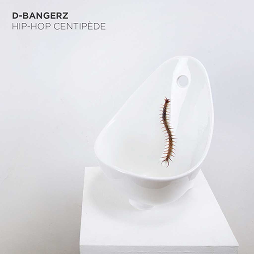 D-Bangerz - Hip-hop centipede