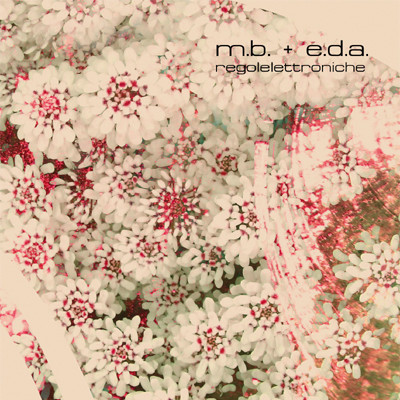 M. B. + E. D. A. - Regolelettroniche 