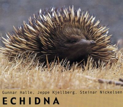 Halle (Gunnar) / Jeppe Kjellberg / Steinar Nickelsen - Echidna