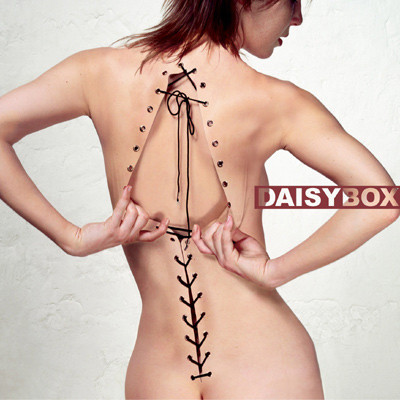Daisybox - Diagnostic