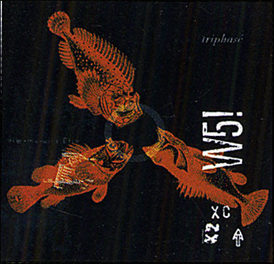 W5! - Triphasé