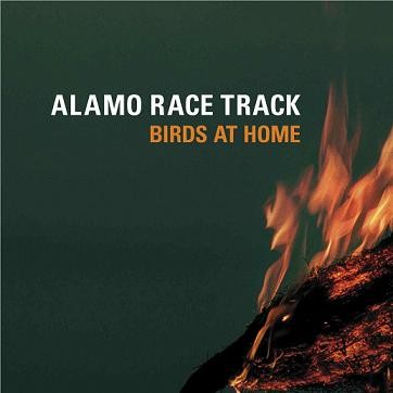 Alamo Race Track - Birds at home