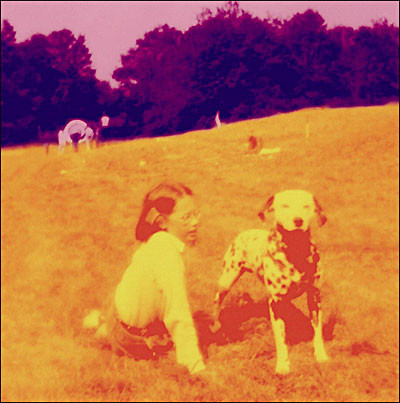 Eels - Blinking Lights (And Other Revelations)