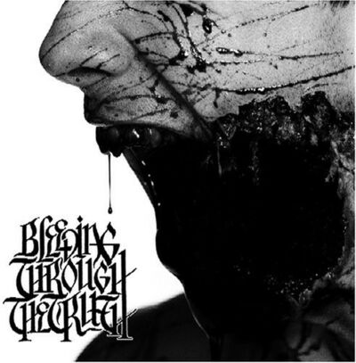 Bleeding Through - The Truth