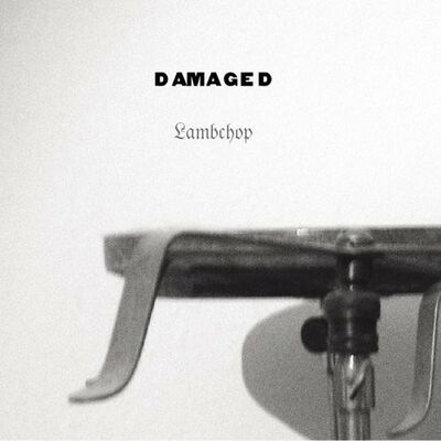 Lambchop - Damaged