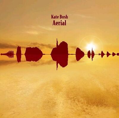 Bush (Kate) - Aerial