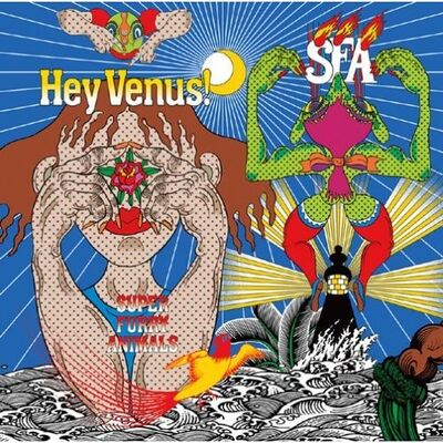 Super Furry Animals - Hey Venus!