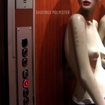Daisybox - Polyester