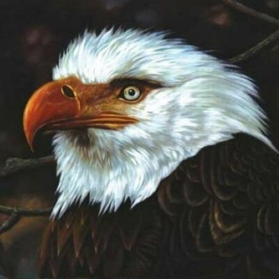 Mogwai - The Hawk Is Howling