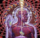 Tool