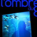 L'ombre du huit - L'ombre du huit