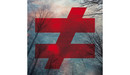 Blizzard de Fauve, du spoken-word habité